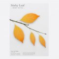 sticky-leaf.11