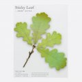 sticky-leaf.4